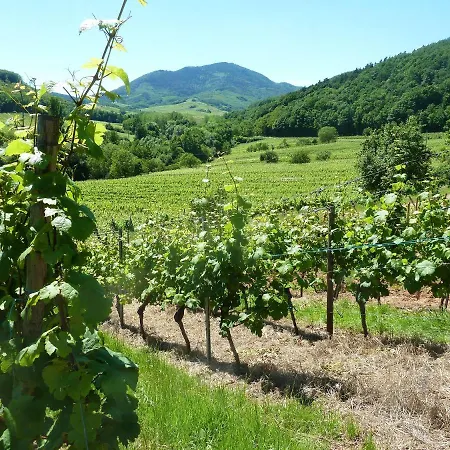 Appartamento à Avec Vue Sur Jardin Epfig