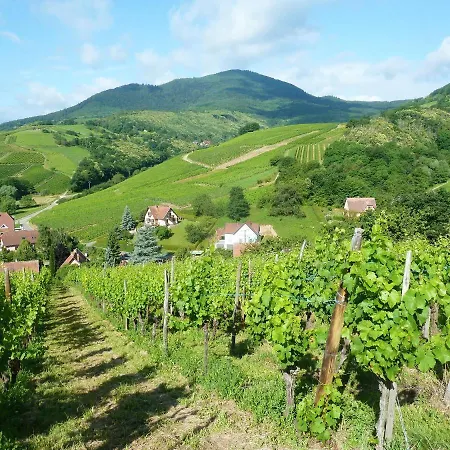 à Avec Vue Sur Jardin