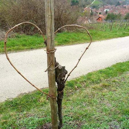 Appartamento à Avec Vue Sur Jardin
