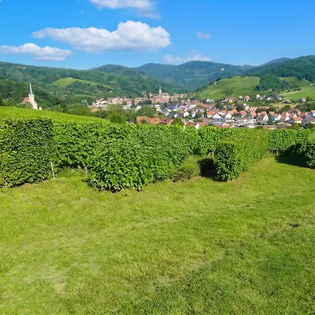 A Avec Vue Sur Jardin Epfig